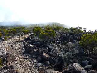 Sentier du Gte des Tamarins au Grand Bnare -  Le Grand Bord dans les nuages