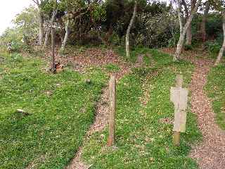 Sentier du Gte des Tamarins au Grand Bnare -  Dpart