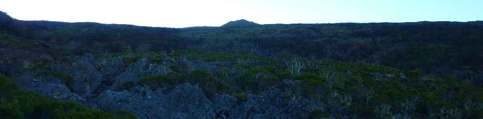 Sentier du Gte des Tamarins au Grand Bnare -  Vers la Glacire