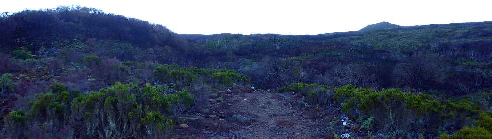 Sentier du Gte des Tamarins au Grand Bnare -  Bras de la Grande Ravine