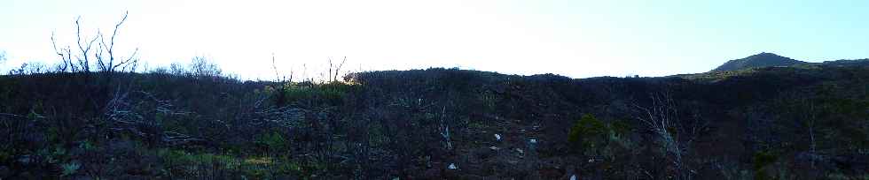 Sentier du Gte des Tamarins au Grand Bnare -  Incendie d'octobre 2010