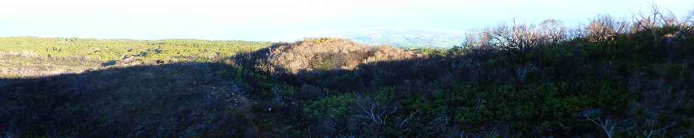 Sentier du Gte des Tamarins au Grand Bnare -  Vers la cte