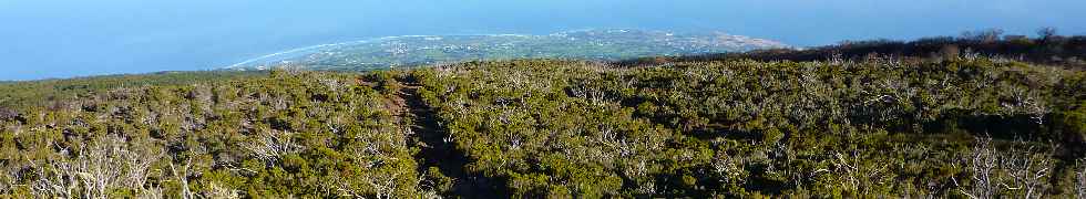 Sentier du Gte des Tamarins au Grand Bnare -  Vers la cte ouest