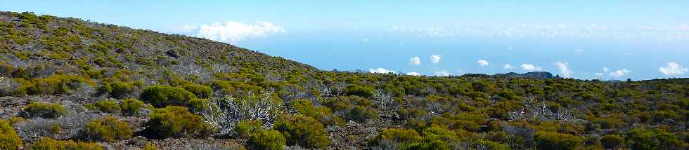 Sentier du Gte des Tamarins au Grand Bnare -  Vue vers le Mado