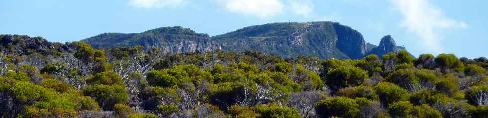 Sentier du Gte des Tamarins au Grand Bnare -  Rempart du Mado