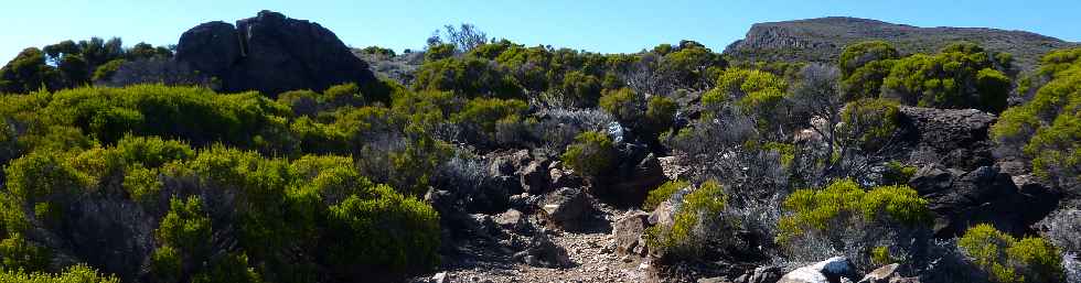 Sentier du Gte des Tamarins au Grand Bnare -  Le Grand Bord