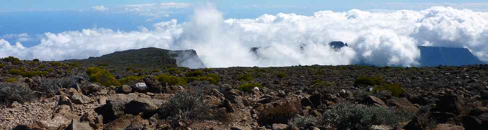 Sentier du Gte des Tamarins au Grand Bnare -  Nuages sur le Mado