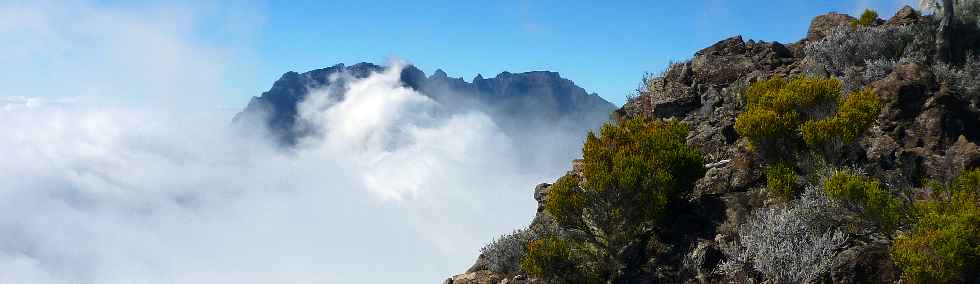 Sentier du Gte des Tamarins au Grand Bnare -  Massif des Salazes dans les nuages