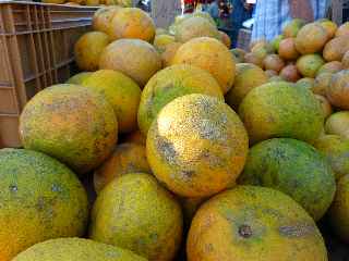 March forain de Saint-Pierre - Pomelos