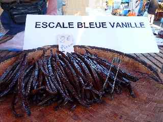Vanille de la Réunion - Escale Bleue - Le Tremblet St-Philippe - Aimé Leichnig