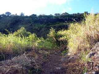 Sentier La Corde - Association Ti Karti de Bois d'Olives -