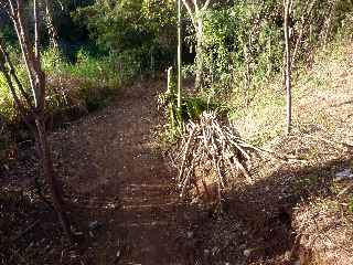 Sentier La Corde - Association Ti Karti de Bois d'Olives -