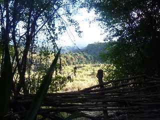 Sentier La Corde - Association Ti Karti de Bois d'Olives