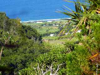 Espace Naturel Sensible du Piton Mont Vert - Vue sur la cte