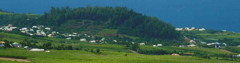 Espace Sensible Naturel du Piton de Mont Vert - Vue sur le Piton Calvaire