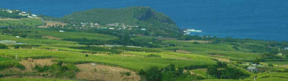 Espace Sensible Naturel du Piton de Mont Vert - Vue sur le Piton de Grande Anse