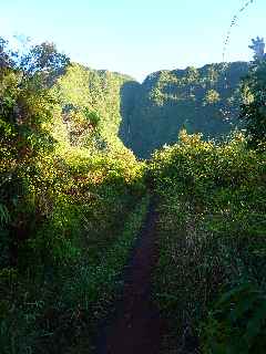 Plaine des Palmistes - Cascade Biberon - Sentier