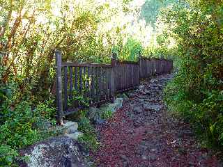 Plaine des Palmistes - Cascade Biberon - Sentier