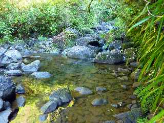 Plaine des Palmistes - Cascade Biberon - Grand Bras Patience