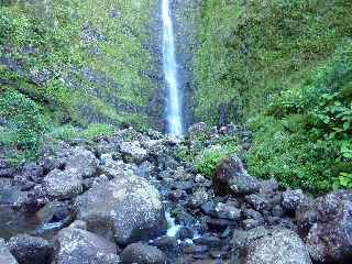 Plaine des Palmistes - Arrive  la Cascade Biberon -