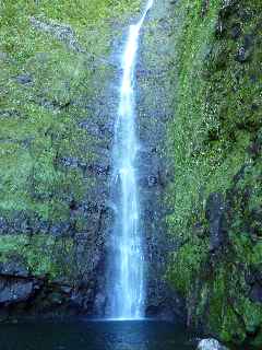 Plaine des Palmistes - Bassin de la Cascade Biberon -