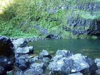 Plaine des Palmistes - Bassin de la Cascade Biberon -