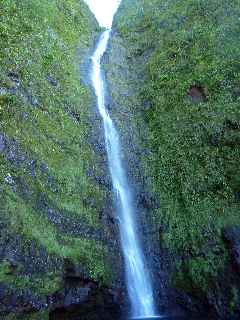 Plaine des Palmistes - Tte de la Cascade Biberon -