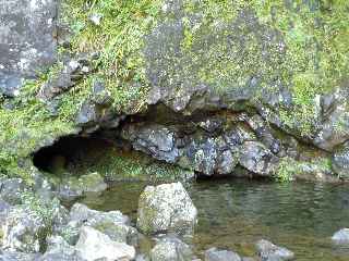 Plaine des Palmistes - Cascade Biberon - Tunnel de lave