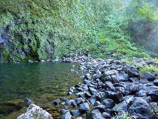 Plaine des Palmistes - Bassin de la Cascade Biberon -