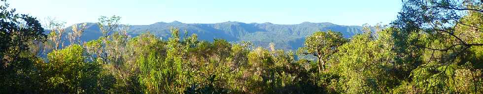 Plaine des Palmistes - Cascade Biberon - Vers le Volcan