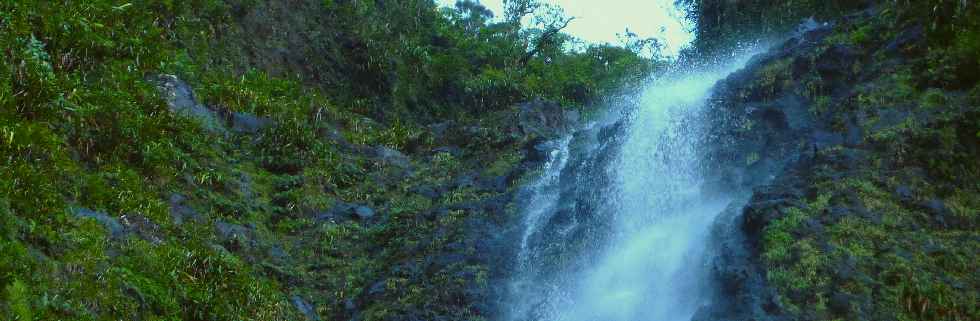 Plaine des Palmistes - Tte de la Cascade Biberon -