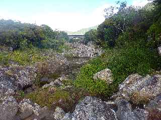 Plaine des Palmistes - Bassin Cadet - Rive gauche