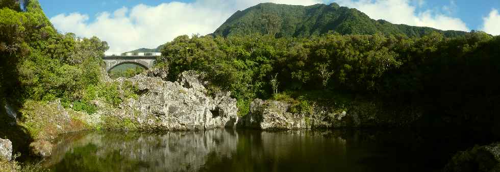 Plaine des Palmistes - Bassin Cadet -