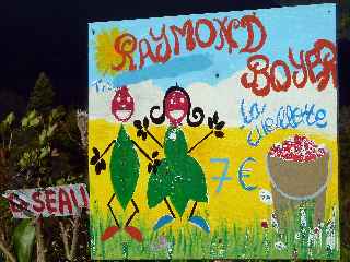 Plaine des Palmistes - Raymond Boyer - Cueillette de goyaviers