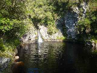 Plaine des Palmistes - Sentier botanique de la Petite Plaine - Cascade et bassin du Bras Noir