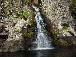 Plaine des Palmistes - Sentier botanique de la Petite Plaine - Cascade et bassin du Bras Noir