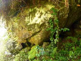 Plaine des Palmistes - Sentier botanique de la Petite Plaine - Cascade et bassin du Bras Noir