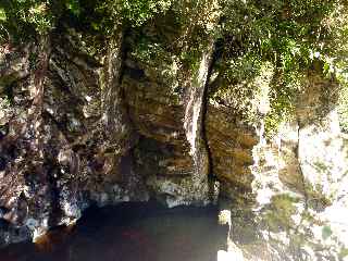 Plaine des Palmistes - Sentier botanique de la Petite Plaine - Cascade et bassin du Bras Noir