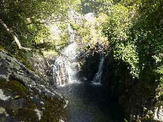 Plaine des Palmistes - Sentier botanique de la Petite Plaine - Cascade et bassin du Bras Noir