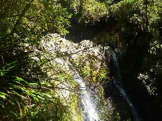 Plaine des Palmistes - Sentier botanique de la Petite Plaine - Cascade et bassin du Bras Noir