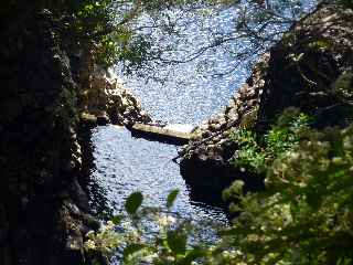 Plaine des Palmistes - Sentier botanique de la Petite Plaine - Cascade et bassin du Bras Noir