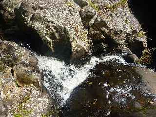 Plaine des Palmistes - Sentier botanique de la Petite Plaine - Cascade et bassin du Bras Noir