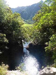 Plaine des Palmistes - Sentier botanique de la Petite Plaine - Cascade et bassin du Bras Noir