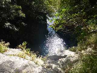 Plaine des Palmistes - Sentier botanique de la Petite Plaine - Cascade et bassin du Bras Noir