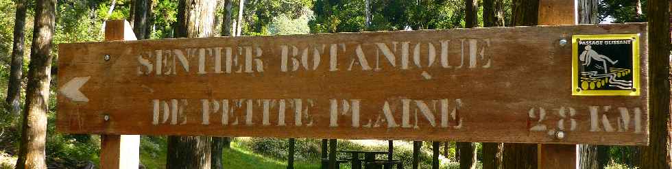 Plaine des Palmistes - Sentier botanique de la Petite Plaine -