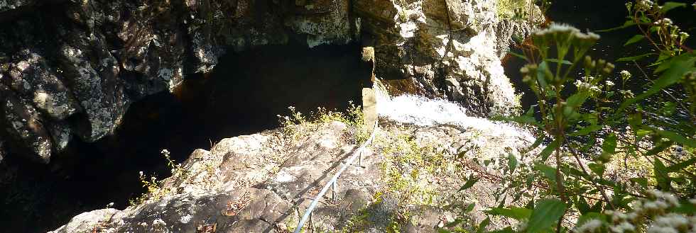 Plaine des Palmistes - Sentier botanique de la Petite Plaine - Cascade et bassin du Bras Noir