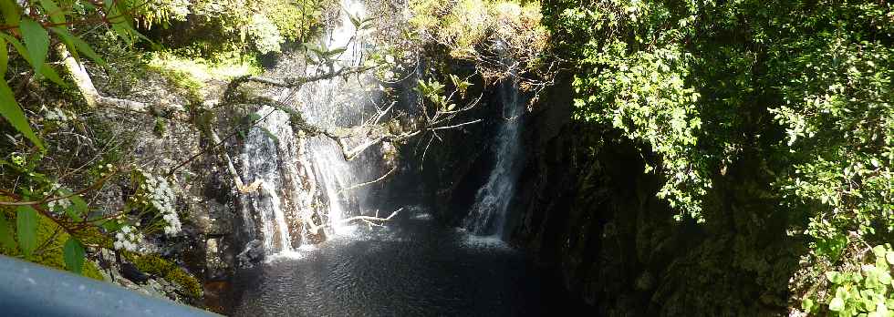 Plaine des Palmistes - Sentier botanique de la Petite Plaine - Cascade et bassin du Bras Noir