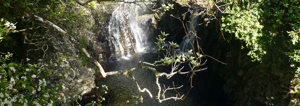 Plaine des Palmistes - Sentier botanique de la Petite Plaine - Cascade et bassin du Bras Noir