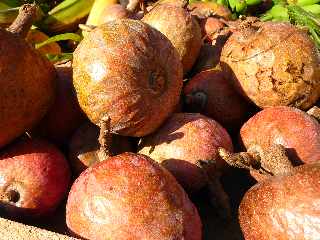 Coeurs de boeuf