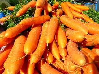 Carottes